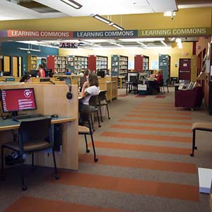Fund for Excellence Learning Commons